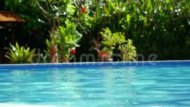 一个豪华的私人在游泳池里反射阳光，周围是一个天堂花园。 3840x2160
